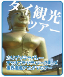 空港送迎とレンタカー